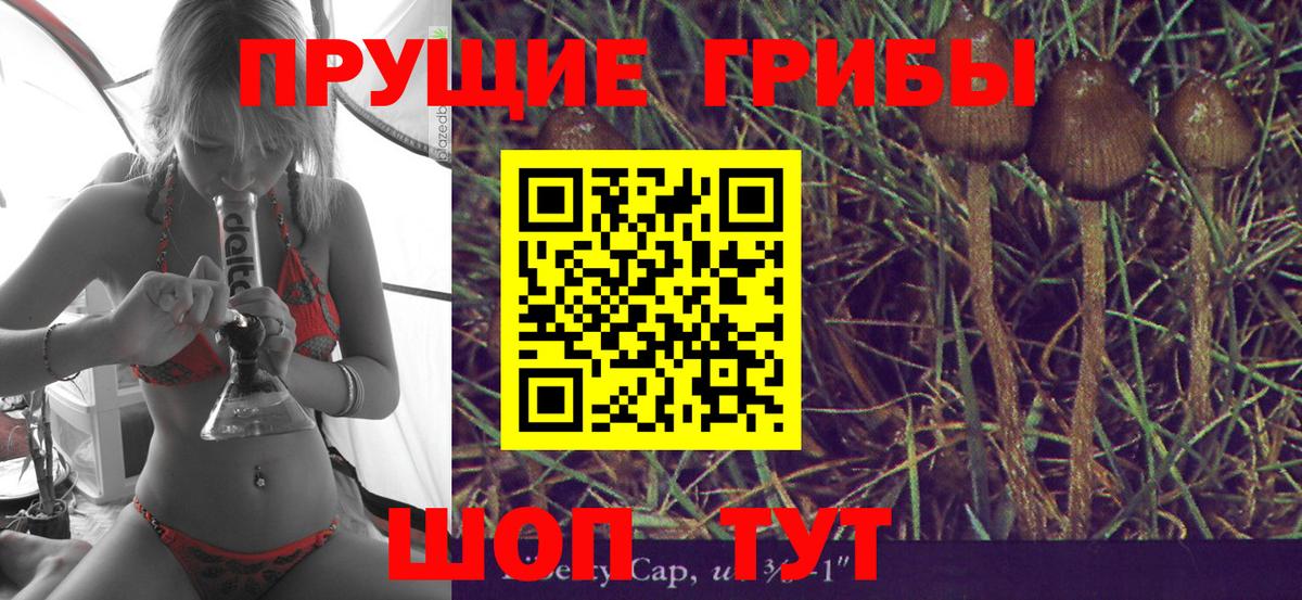 Галлюциногенные грибы Cubensis Междуреченск